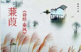 “蒹葭苍苍,白露为霜;所谓伊人,在水一方”是谁写的,全文是什么?_百度