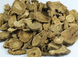 木香的功效与作用
