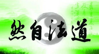 人法地地法天天法道道法自然
