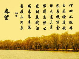 春望翻译
