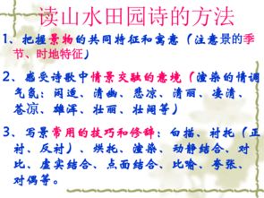 诗歌类型
