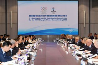 国际奥林匹克委员会
