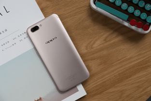oppo r11 怎么看真伪?