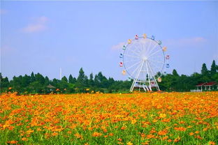 梦里水乡百花园
