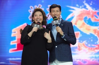 正大综艺的主题曲