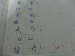 四字组词

