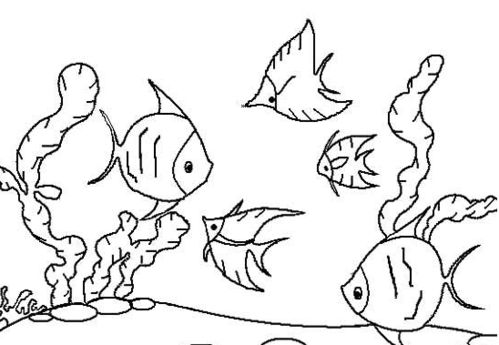 海底世界儿童画简笔画
