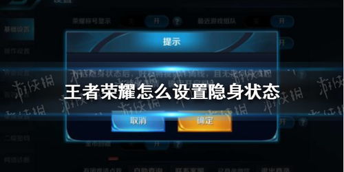 王者荣耀怎么设置隐身状态
