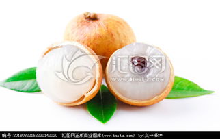 龙宫果
