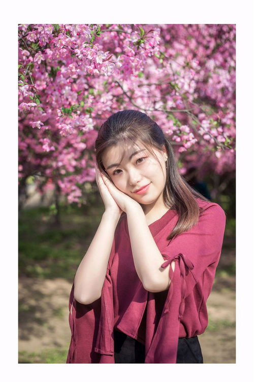 梧桐跳的藏族舞蹈美丽姑娘的歌词