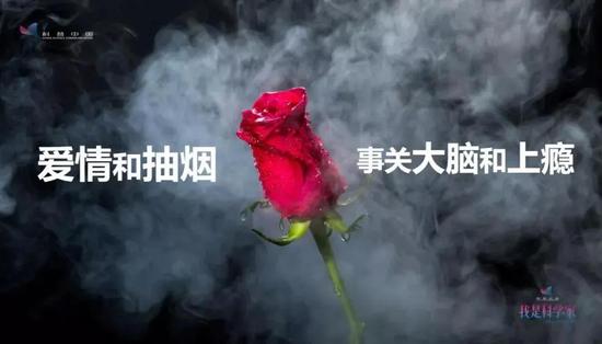 心有灵犀一点通上一句和全诗解释