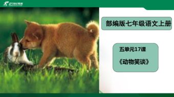 动物笑谈的意思