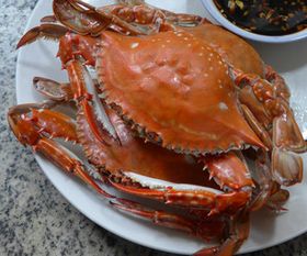 螃蟹蒸多长时间
