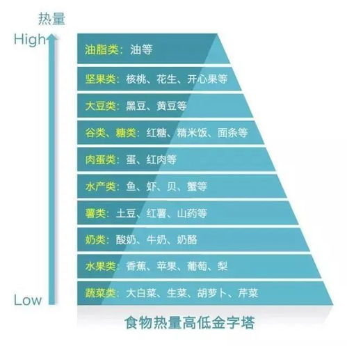 一天需要摄入的热量
