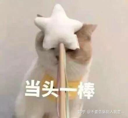 哪种节孕环最好 - 百度宝宝知道