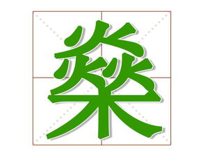 燊怎么读
