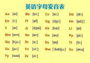 树叶的英语怎么读