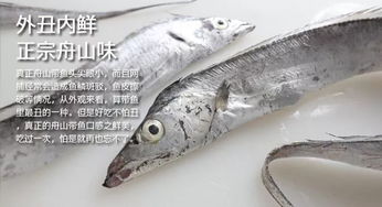舟山带鱼
