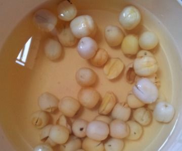 莲子要泡多久才可以煮
