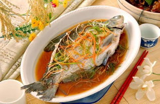 才饮长沙水
