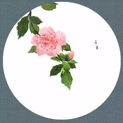 池中没有水地上没有泥

