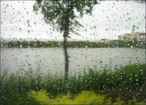 2021梅雨季节是什么时候开始 一般是几月