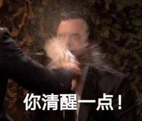沉香如屑颜淡你清醒一点下一句