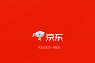 京东我的评价在哪里看
