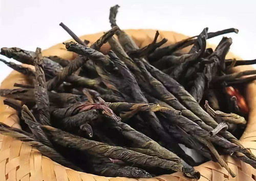 苦丁茶的功效有什么作用及禁忌?