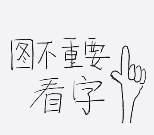"未到伤心处"的上一句是什么?