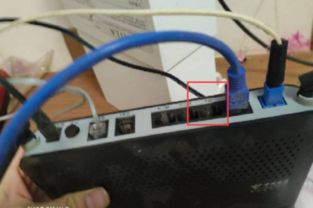 家里的无线网突然没网了怎么回事