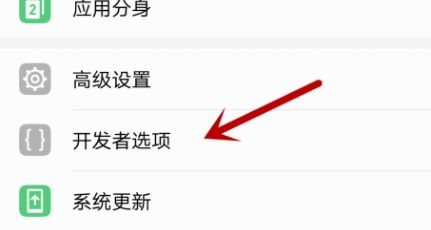 怎么打开手机开发者选项