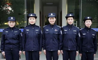 巾帼不让须眉,以下哪句诗词小鸡庄园