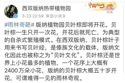 热带雨林歌词
