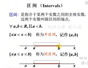有理数集包括什么?