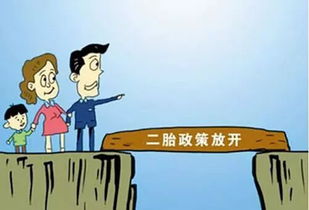 闻道有先后术业有专攻
