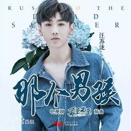 夏至未至歌曲我可以跟在你身后
