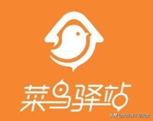 做菜鸟驿站赚钱吗