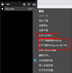 影音先锋手机版怎么用?