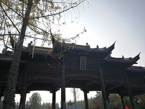 中国四大名镇
