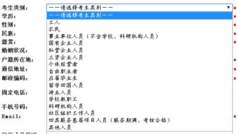 有效身份证件类别填写什么