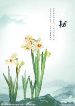 水仙花的诗句有哪些?