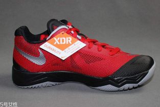 xdr显示屏是什么意思