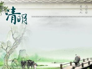 今年清明
