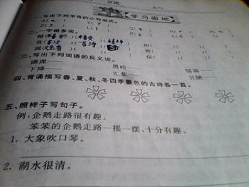 一字组多词
