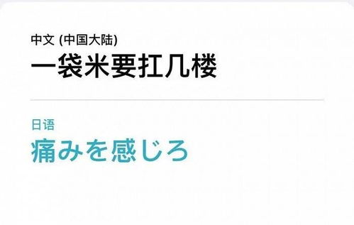沉迷于 用英语怎么说。