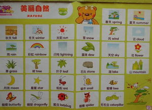 美丽的英文怎么写?