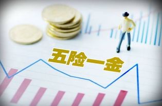 派遣工是什么意思