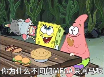 神奇海螺
