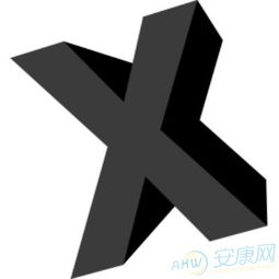 x开头的英文名
